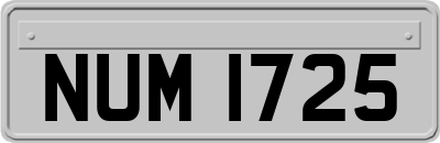 NUM1725