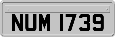 NUM1739