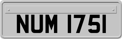 NUM1751