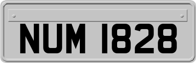 NUM1828