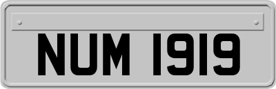NUM1919