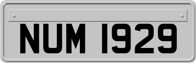 NUM1929