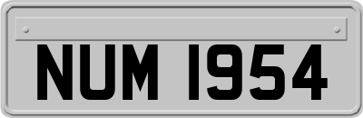 NUM1954