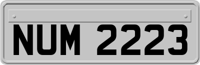 NUM2223