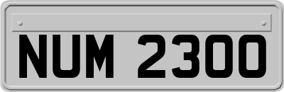 NUM2300