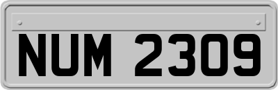 NUM2309