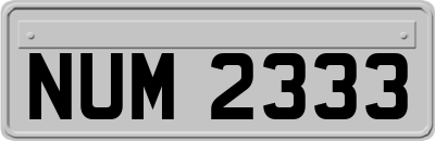 NUM2333