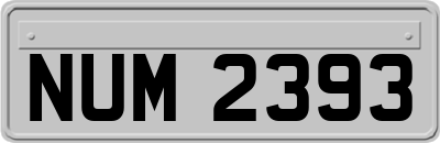 NUM2393