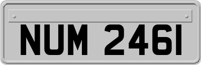 NUM2461