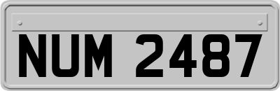 NUM2487