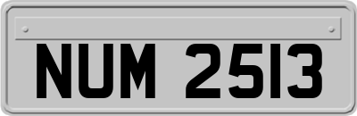 NUM2513