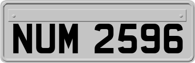 NUM2596