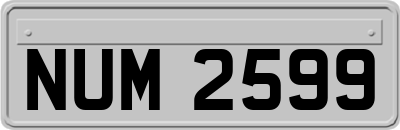 NUM2599