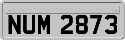 NUM2873