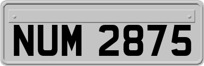 NUM2875