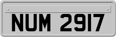 NUM2917