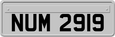 NUM2919