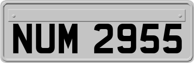 NUM2955