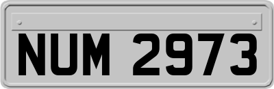 NUM2973