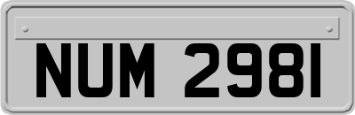 NUM2981