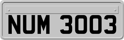 NUM3003