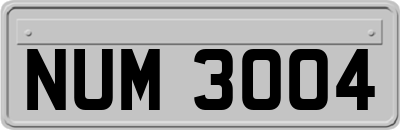 NUM3004