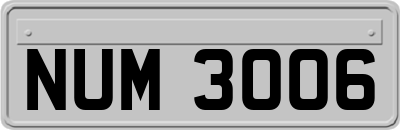 NUM3006