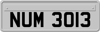 NUM3013