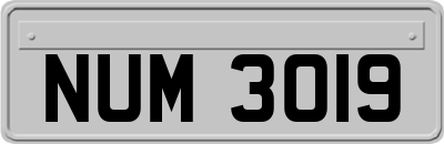 NUM3019