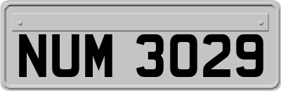 NUM3029