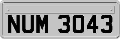 NUM3043