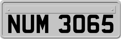 NUM3065