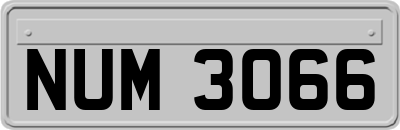 NUM3066