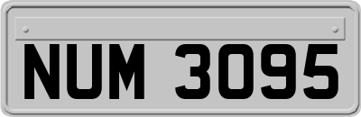 NUM3095