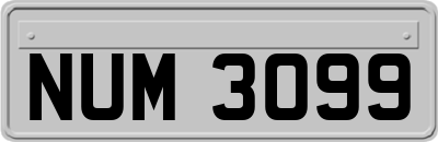 NUM3099
