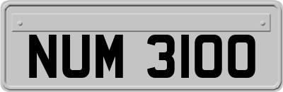 NUM3100