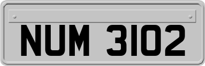 NUM3102