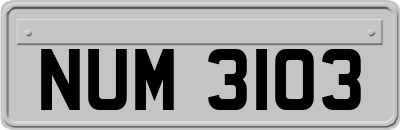 NUM3103