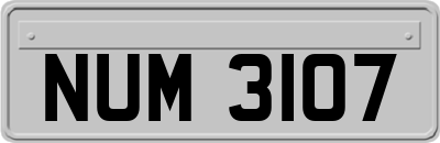 NUM3107