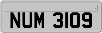 NUM3109