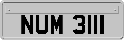 NUM3111