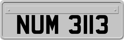 NUM3113