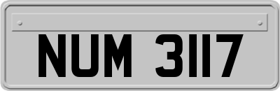 NUM3117