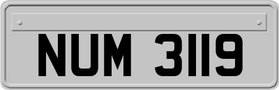 NUM3119