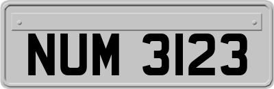 NUM3123