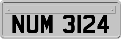 NUM3124