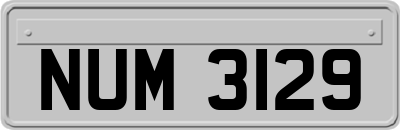 NUM3129
