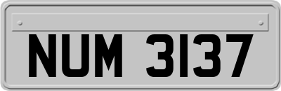 NUM3137