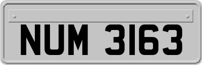 NUM3163