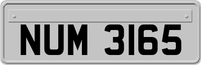 NUM3165